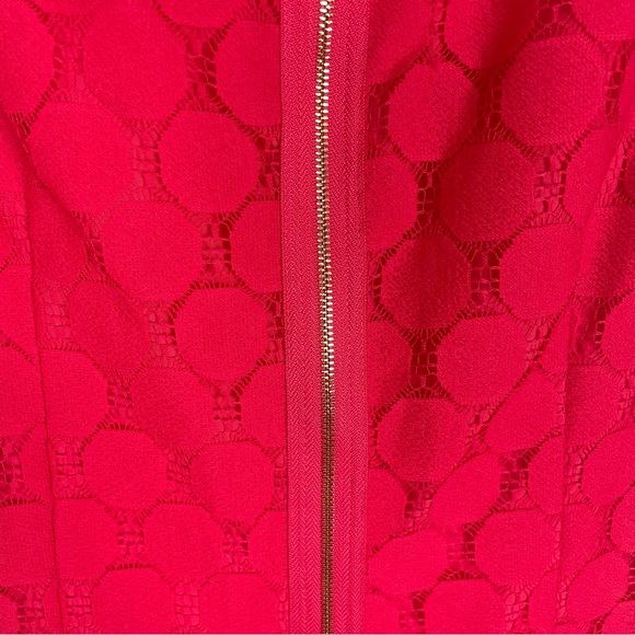 Adrianna Papell Red Lace Roll Neck Sleeveless Sheath Dress Size 2 - Picture 5 of 9